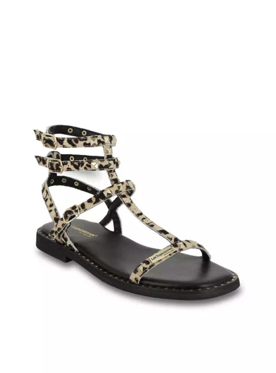 LTROP CORALIE C330843 LEOPARDO-1