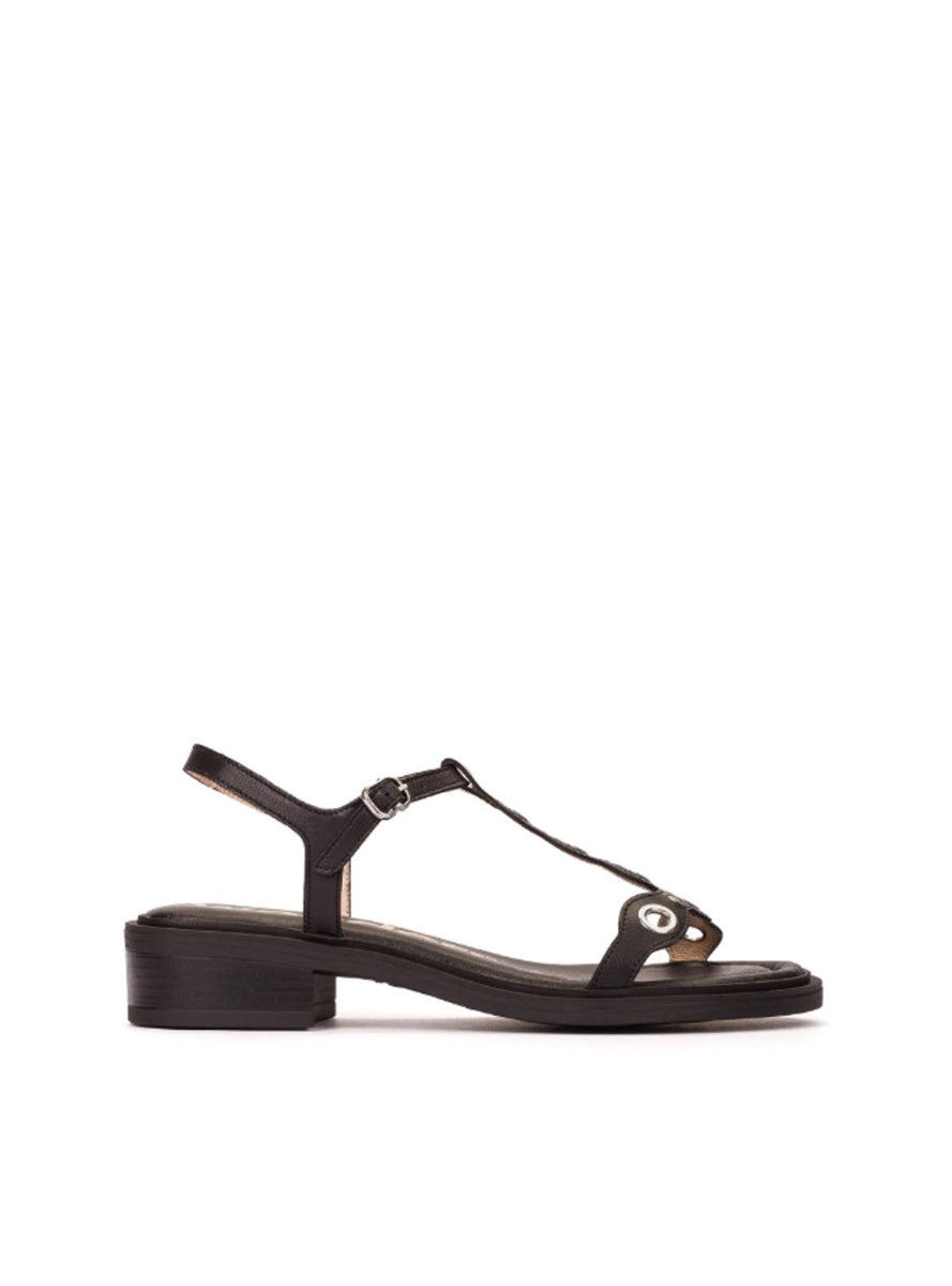 WND B-9613 NEGRO-0