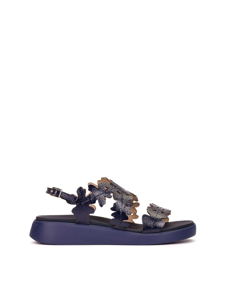 WND C-6551 MARINO -0