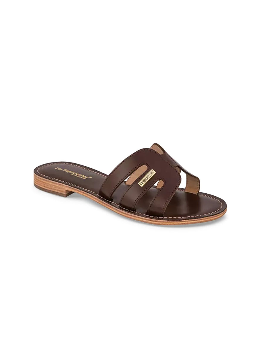 LTROP DAMIA C331211 CHOCO -2