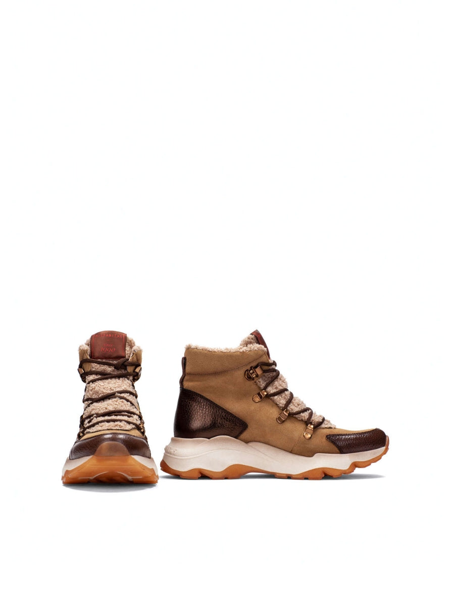 HISP HI254371 C002 AVELLA BISCUIT-3