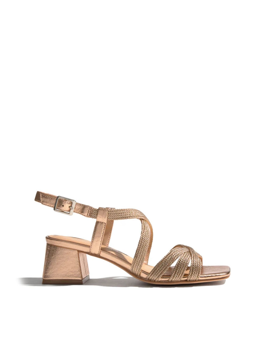 REGARDE AMALIA-08 ROSE-0