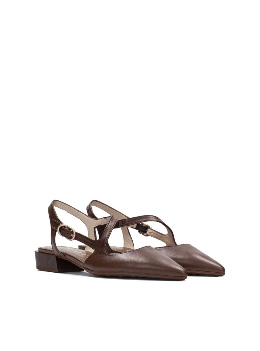 HISP HV264773 C001 MARRON-1
