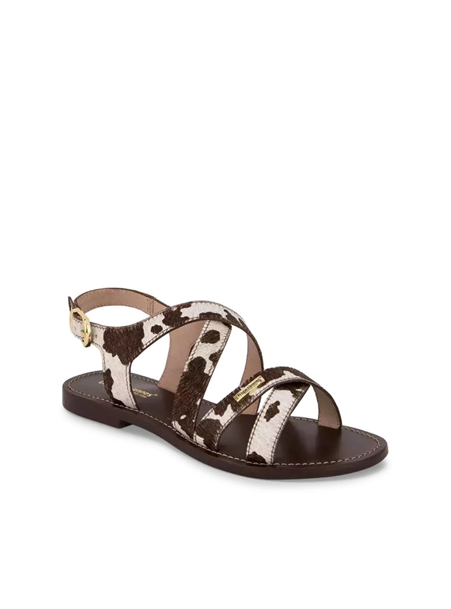 LTROP HAGMAPO C331233 VACA -1