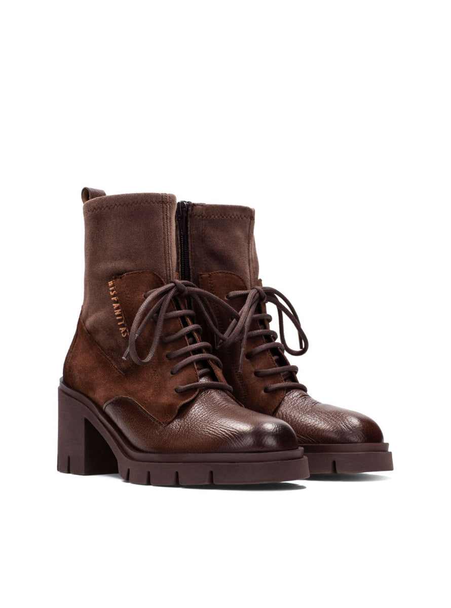 HISP HI254281 C004 AVELLANA -0