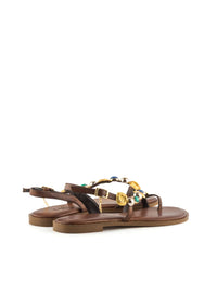 CARIATYS 621631 BROWN -2