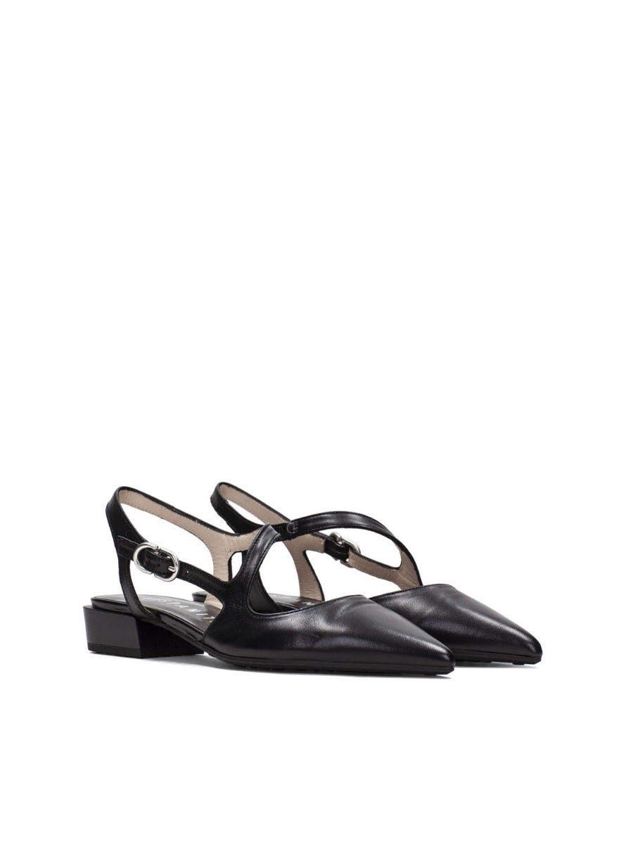 HISP HV264773 C002 NEGRO-1
