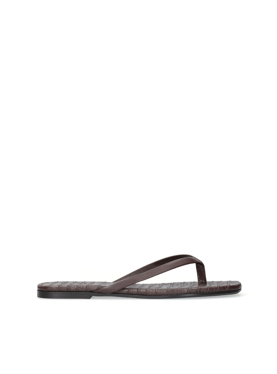 1166 YACARE 7700367 MARRON -0