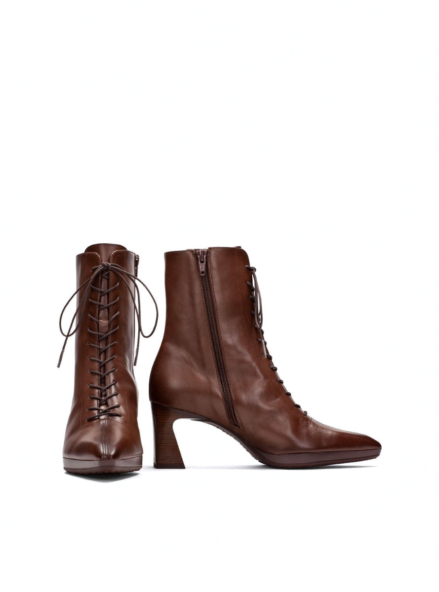 HISP HI254379 C002 AVELLANA -0