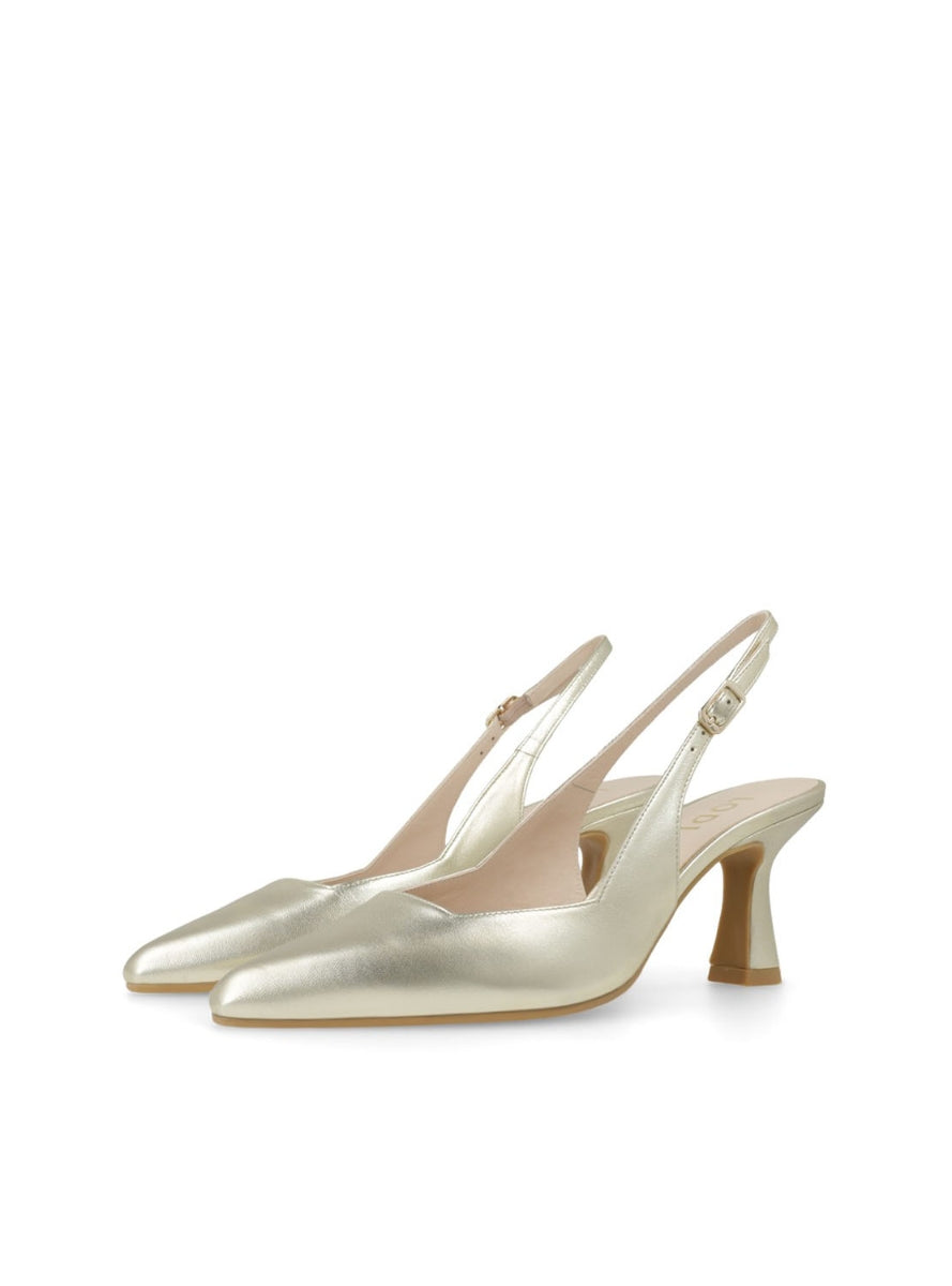 LODI GELINES-X CAVA-1