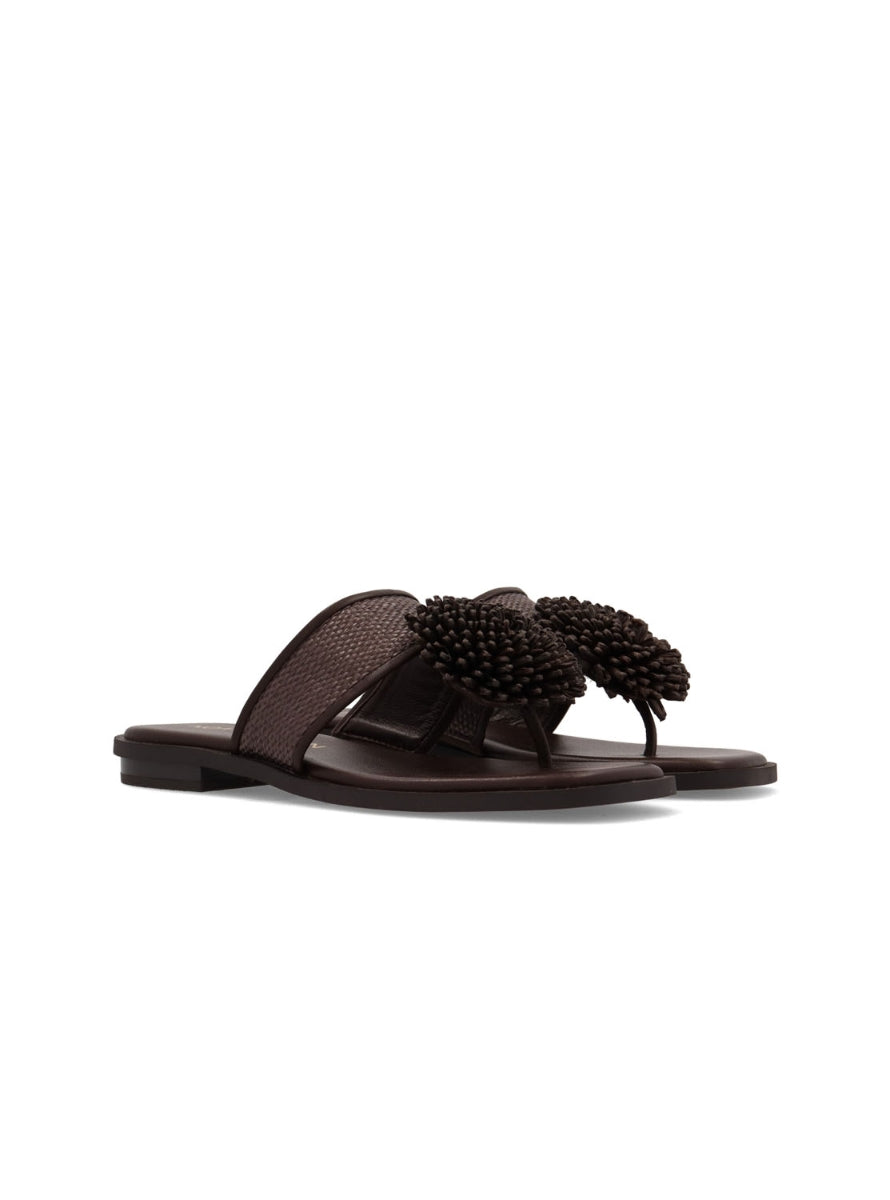 NOA 10254-55 MARRON -1