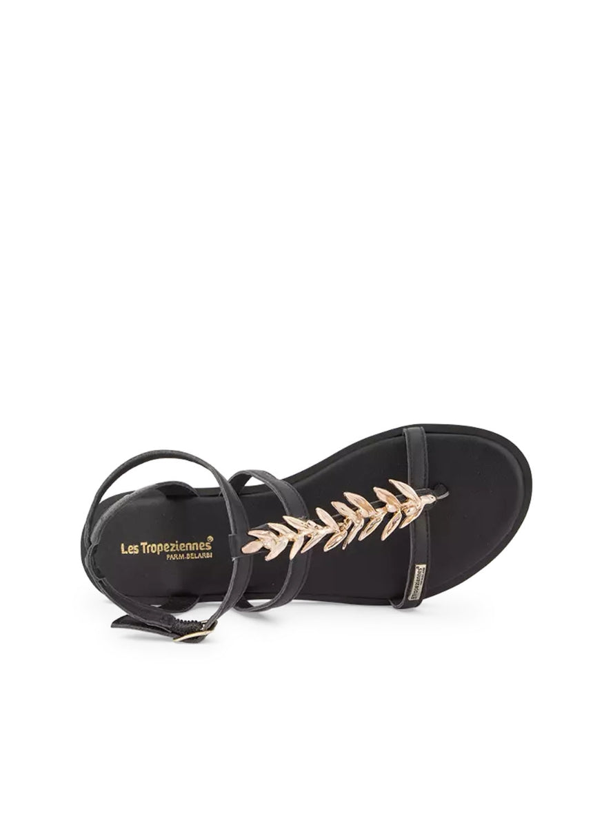 LTROP ORGEAT C331409 NEGRO -1