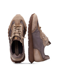 HISP HI264955 TOPO -3