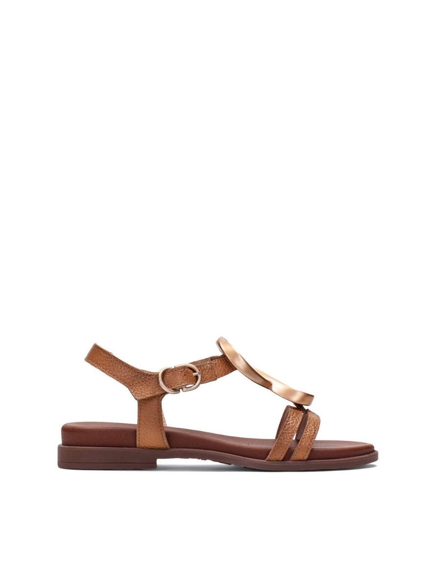 HISP HV264765 CUERO-0