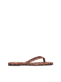 1166 YACARE 7700367 LEOPARDO -0