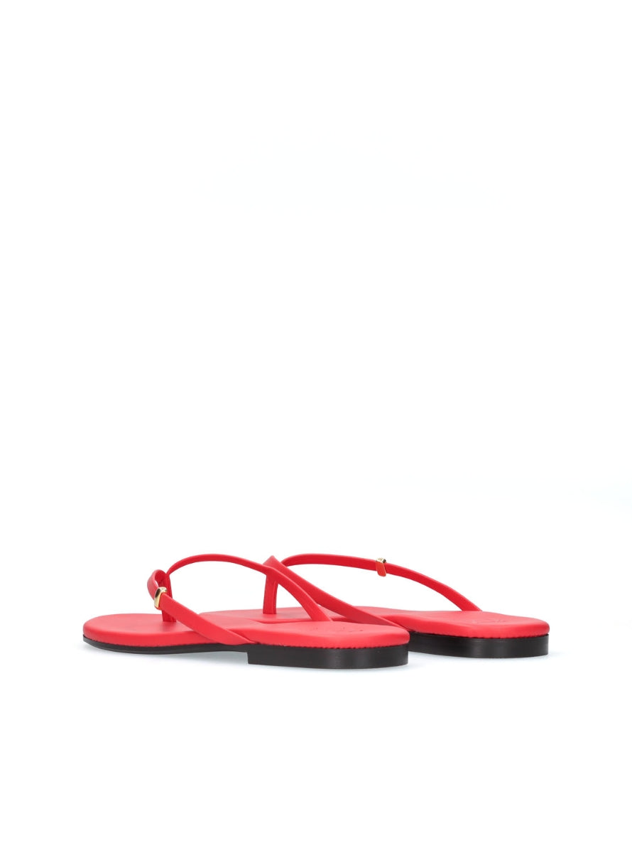 1166 YACARE 8052589 ROJO -2