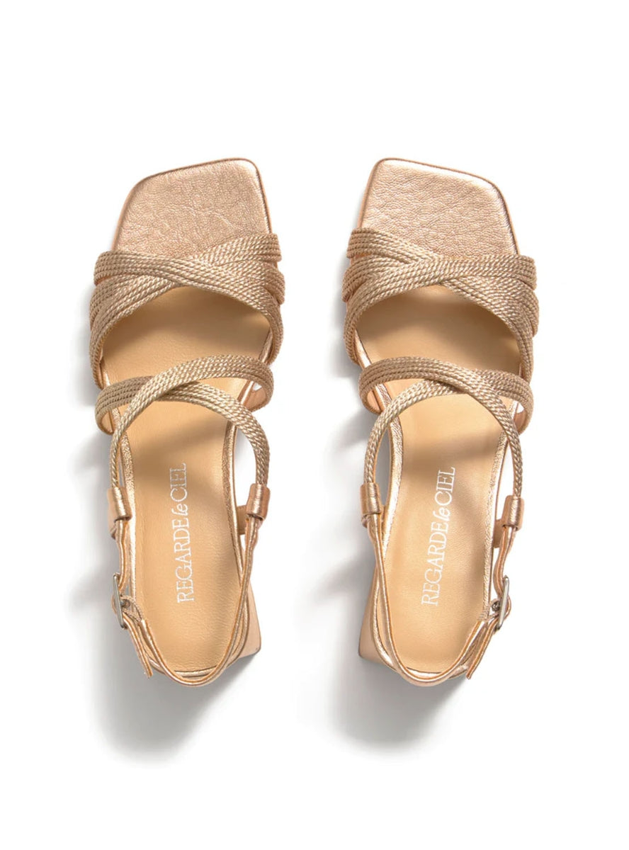 REGARDE AMALIA-08 ROSE-1