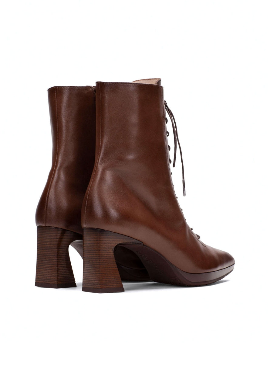 HISP HI254379 C002 AVELLANA -3