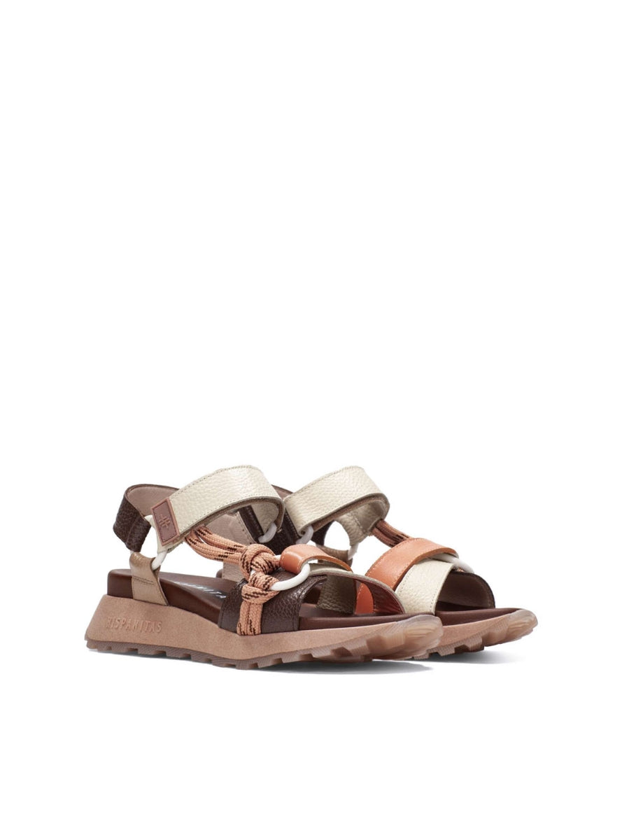 HISP CHV264869 MARRON CORAL-1