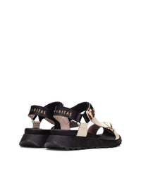 HISP CHV264807 VACA-2