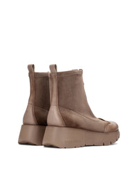 HISP HI265104 TOPO -2