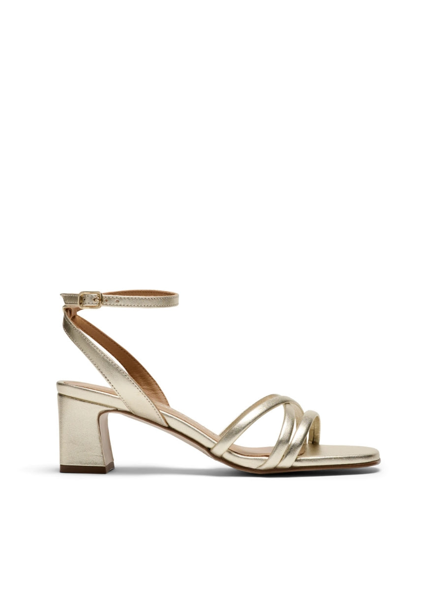 PEDRO 18115 PLATINO -0